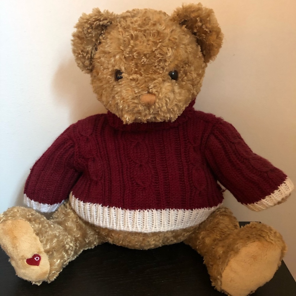 🎉HP🎉Like-New Bloomies 18” Gund Little Brown Bear